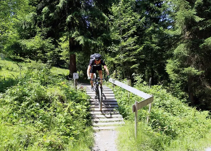Apartment Hahnenkamm Ski-in Ski-out Direkt An Der Hahnenkammbahn