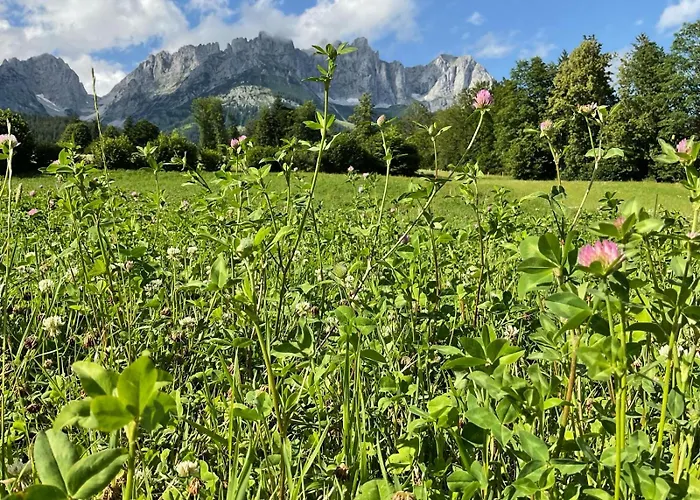 Hahnenkamm Suite Central Luxury Ski-In Ski-Out With Spa, Parking & Fireplace Apartmán Kitzbühel